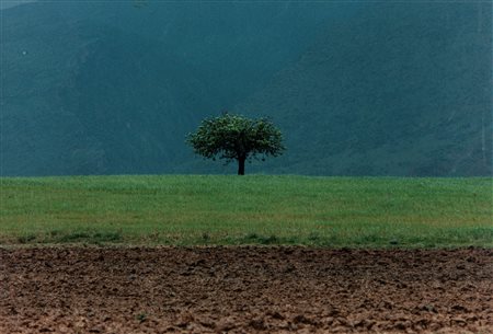 Abbas Kiarostami (1940-2016)  - Senza titolo , 2000