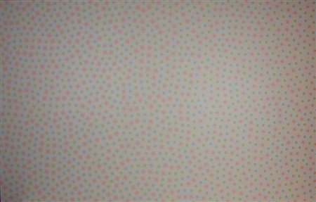 Jorrit Tornquist LABIRINTO DELLA VITA, NEL QUALE SONO CRESCIUTO, 2005 giclee'...