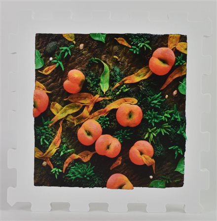 Piero Gilardi PESCHE stampa UV su FX high quality bianco, cm 21x21x1,3; es....