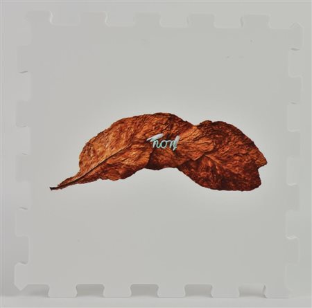 Pier Paolo Calzolari NONstampa UV su FX high quality bianco, cm 21x21x1,3;...