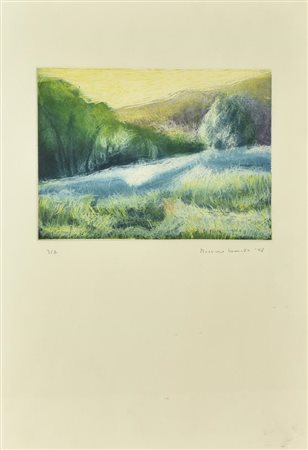 Massimo Lomasto FIUME acquaforte-acquatinta su carta, battuta cm 14,5x19,5,...