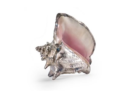MARIO BUCCELLATI. Conchiglia "Cassis Cornuta" rivestita in argento. Marcato "M.