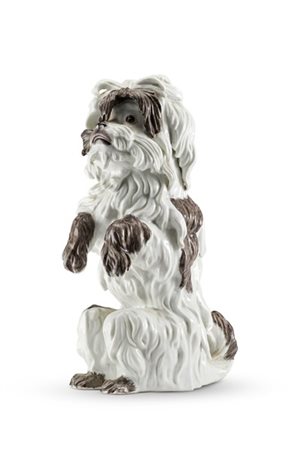 Manifattura francese, secolo XIX. Figura di cane bolognese in porcellana dipint