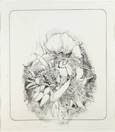 SERGIO SARONI<BR>Torino 1934 - 1991<BR>"L'orchidea" 1965