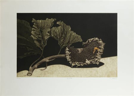 BRUNO MISSIERI<BR>Piacenza 1942<BR>"Girasole"