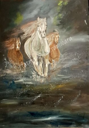 Lacramioara Hatmanu, Freedom II