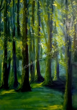 Lacramioara Hatmanu, Life