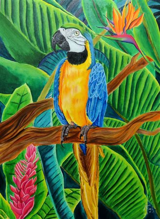 Anna Maria Farinola, Paquito