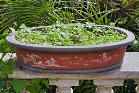 Vaso portabonsai in ghisa dipinta. Giappone, XX secolo   