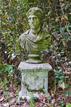 Busto virile con barba   