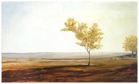 MARCO STELLA (1961) Terre di Spagna 2011 Olio su tela 30 x 50. Firma in b. a...