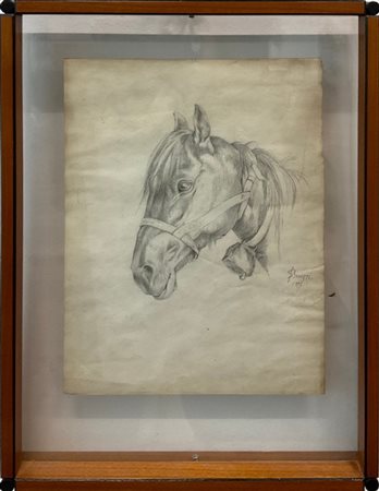 Ignoto di inizio secolo XX

"Cavallo" 
matita su carta (cm 30x22)
reca firma e