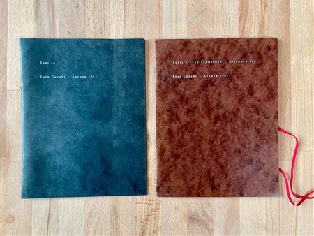 CATALOGHI AUTOGRAFATI (ENZO CUCCHI) - Lotto unico di 2 cataloghi