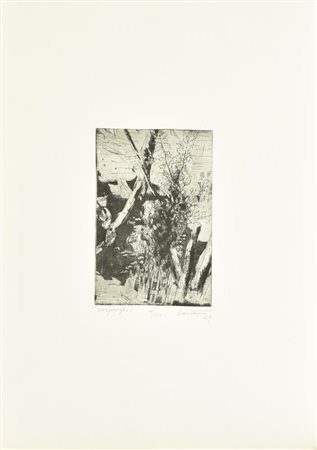 Aldo Castano CESPUGLIO incisione su carta, battuta cm 19,5x13, su foglio...