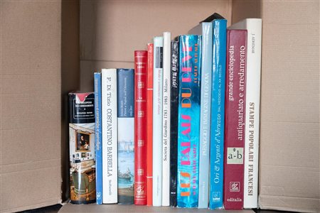 Box letteraria contenente lotto di 14 volumi d'arte   