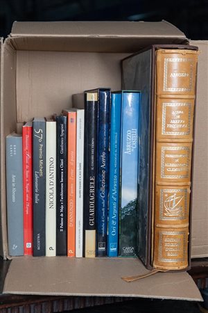 Box letteraria contenente lotto di 12 volumi sulla storia e l'arte in Abruzzo   