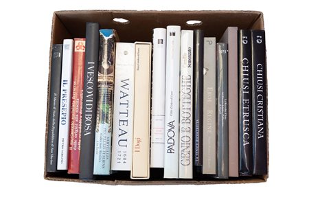 Box letteraria contenente lotto di 16 volumi d'arte e di storia   