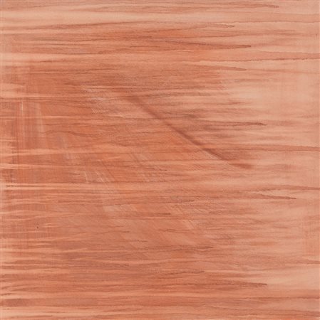 CODA ZABETTA ROBERTO Biella 22/01/1975Tirrenicum, legnum, 1996olio su tela...