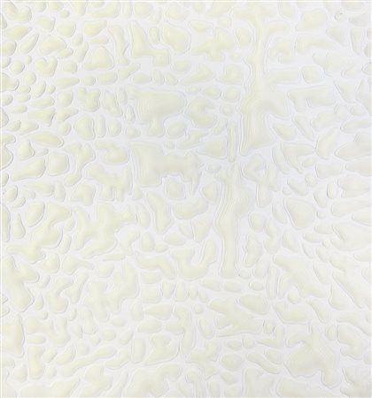 NIDO DAVIDE Senago 1966Polo nord, 2005tecnica mista (colle termofusibili) su...