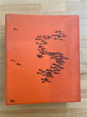 DOCUMENTA KASSEL - Documenta 5. Befragung der Realität – Bildwelten heute, 1972