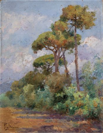 Oreste Paltrinieri (Verona 1873-Viareggio 1966)  - Pineta di Viareggio