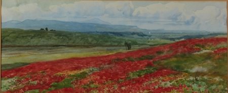 Onorato Carlandi Roma 1848 – 1939 Campo di papaveri acquarello cm 28 x 67...