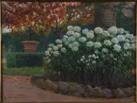 Carlo Montani Saluzzo 1868 – Roma 1936 Ortensie olio su cartone cm 25 x 33...