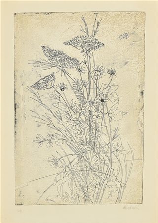 Enrico Paulucci FIORI acquaforte, cm 39,3x26,5, su foglio cm 47,5x33; es....