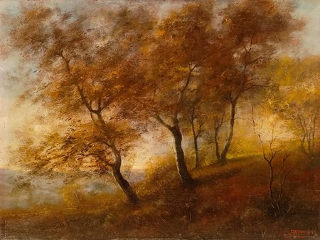 CASANOVA CARLO Crema (Cr) 1871 Paesaggio Olio su tavola 50,00x70,00 Firmato...