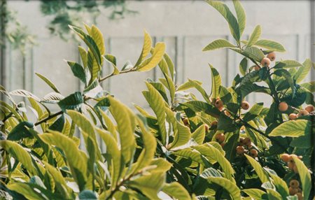 Tancredi Mangano (1969)  - Eden 23, Milano, 2005