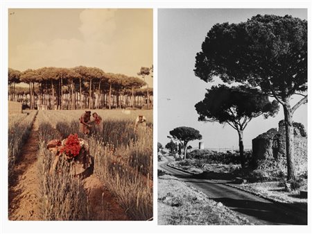 Riccardo Moncalvo (1915-2008)  - Senza titolo (Campagna), 1950s