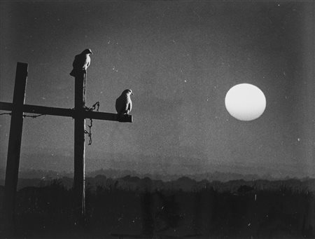 Pedro Luis Raota (1934-1986)  - Alborato, 1960s/1970s