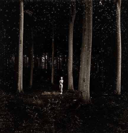 Rutger Ten Broeke (1944)  - Senza titolo (Nudo), 1981