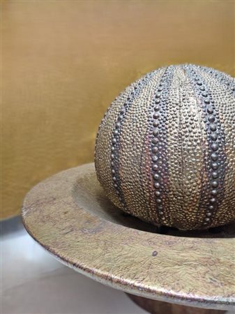 Vasca in resina a forma di riccio, Anni '70 H 65 cm, diametro 90,5 cm...