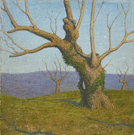 Ignoto pittore divisionista

"Alberi d'inverno" 
olio su tela (cm 50x50) (difet