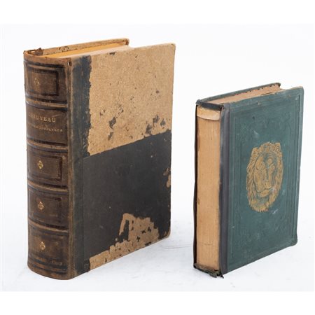 DUE VOLUMI DI ZOOLOGIA DEL XIX SECOLO