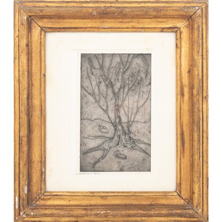 PITTORE DEL XIX SECOLO, Alberi, Incisione