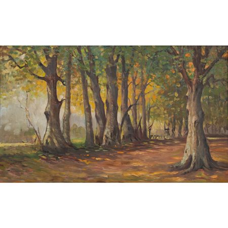 ANONIMO DEL XX SECOLO, Paesaggio boschivo, Olio su tela