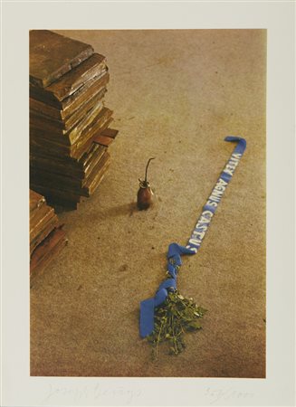 BEUYS JOSEPH (1921 - 1986) - VITEX AGNUS CASTUS.