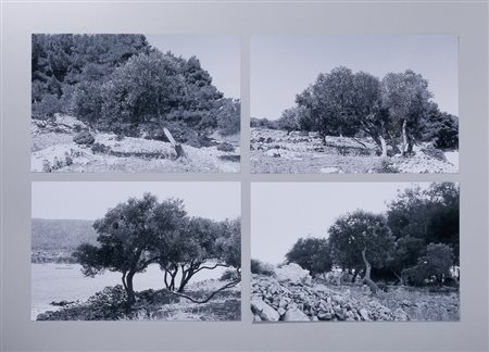 GHARIB ABBAS (n. 1942) - TREES.