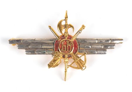  
Spagna, guerra civile, Brevetto d'onore da pilota del Tercio de los extranjeros prima metà XX sec.
 80 mm