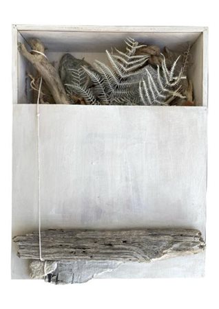 Claudio Sapienza (Catania, 1981 - ) Natural box 2022 Assemblaggio 36x50x12 cm...