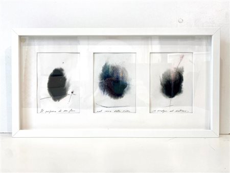 Claudio Sapienza (Catania, 1981 - ) Il profumo di un fiore nel cuore della...