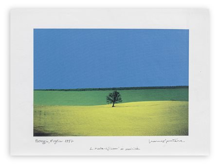 FRANCO FONTANA (1933) - Puglia, 1987