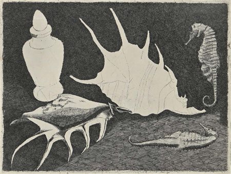 Lino Bianchi Barriviera Montebelluna 1906-Roma 1985 Conchiglie e cavalluccio...