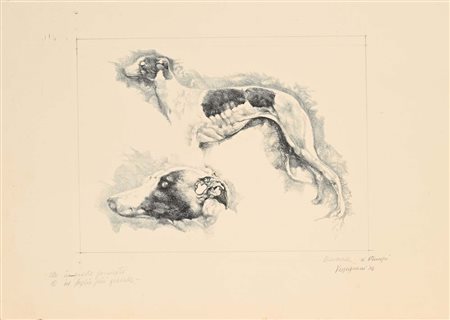 Renzo Vespignani Roma 1924-Roma 2001 Levriero 1976 Litografia e matita cm...