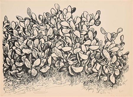 Renato Guttuso Bagheria 1911-Roma 1987 Cactus Litografia cm 56x77 Firma e...