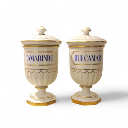 Due vasi da farmacia in porcellana policroma