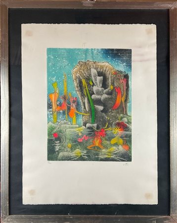 Roberto Matta "Ninphée" 1981
acquaforte e acquatinta a colori
(lastra cm 41,5x31
