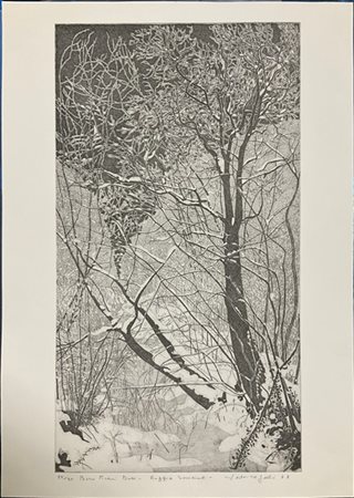 Federica Galli "Bosco Pisani Dossi - Roggia Soncina" 1978
Acquaforte
(lastra cm